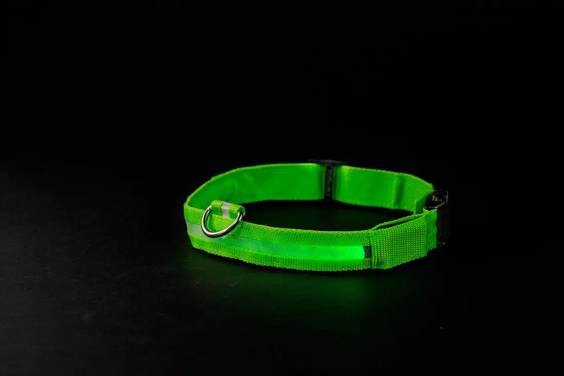 Using collars to identify lost pets