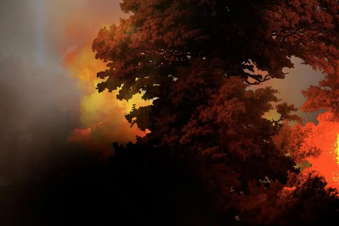 burning forest global warming